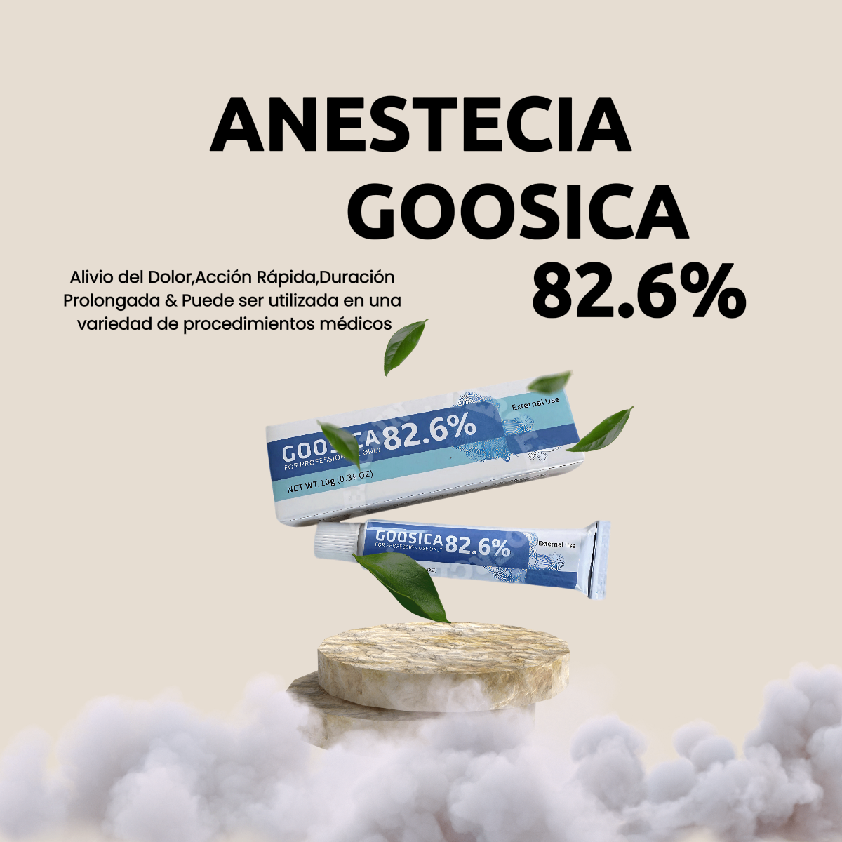 ANESTESIA GOOSICA 82.6% 10ML /01 UND.