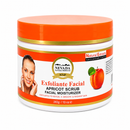 EXFOLIANTE CON AROMA FACIAL 283G. X 01 UND. - NEVADA