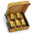 LIPOREDUCTORA ANTIFAT SOLUCIÓN 10ML X 05 UND. - LIPOFLACK