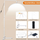 LAMPARA LUNA PARA LASHISTA