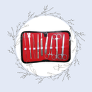 ESTUCHE DE DISECCIÓN x09 UND. - ALBA