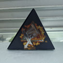 ULTRA REDUX LIPOREDUCTORA 10 UND. X 10ML - TR7